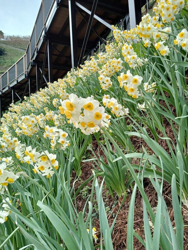 【愛媛県内発】 令和8年!新春8の南あわじ紀行 日帰り2